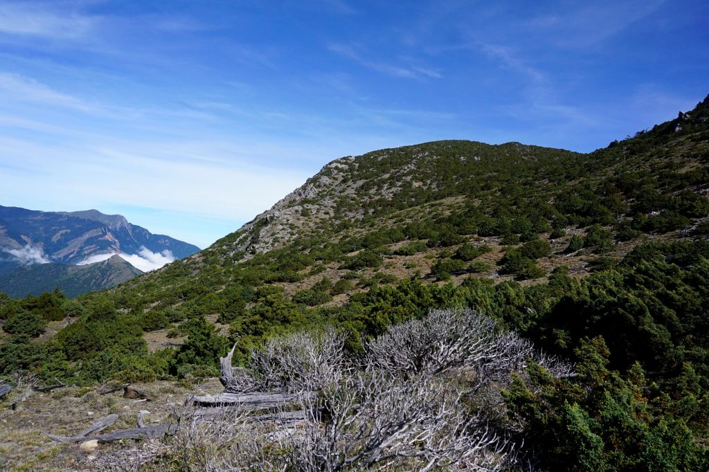 八通關古道西段（三）秀姑坪＆秀姑巒山_392006