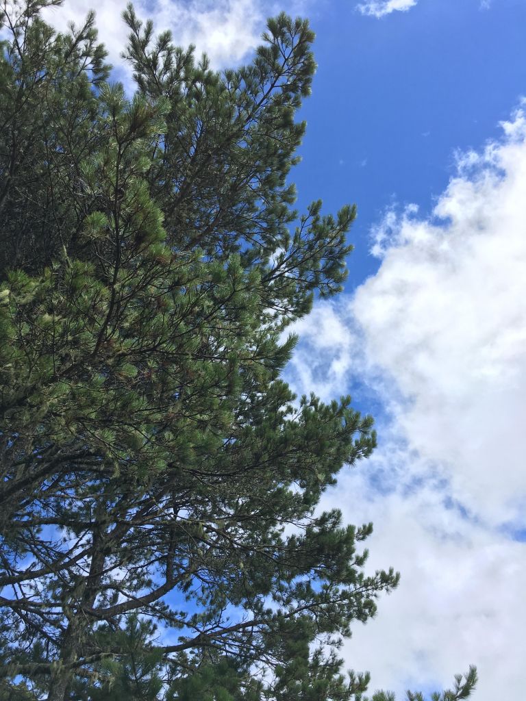 羊頭山一日單攻_175289