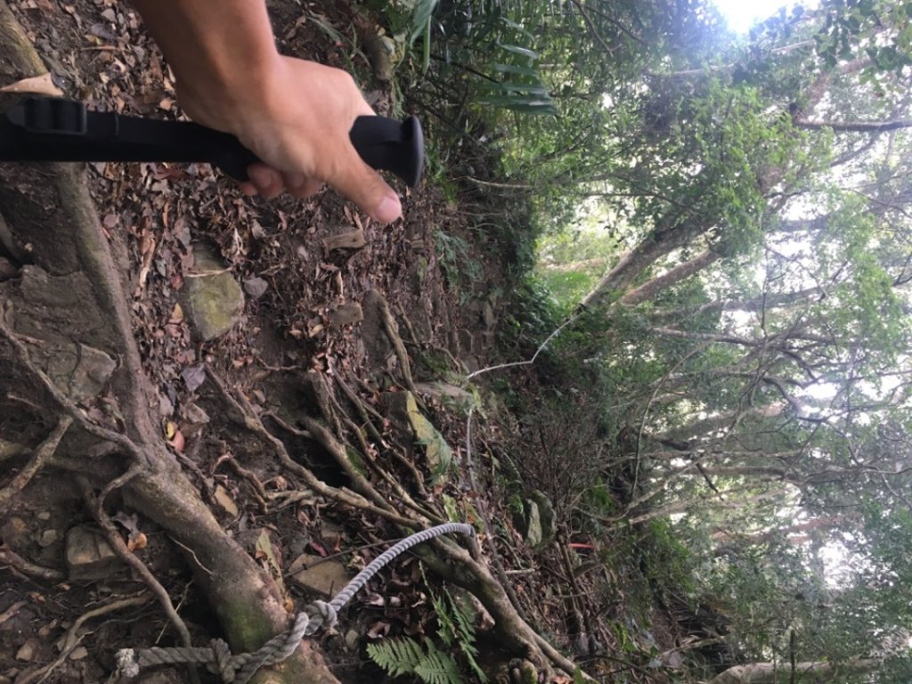 上島山（鳥嘴山_2650157