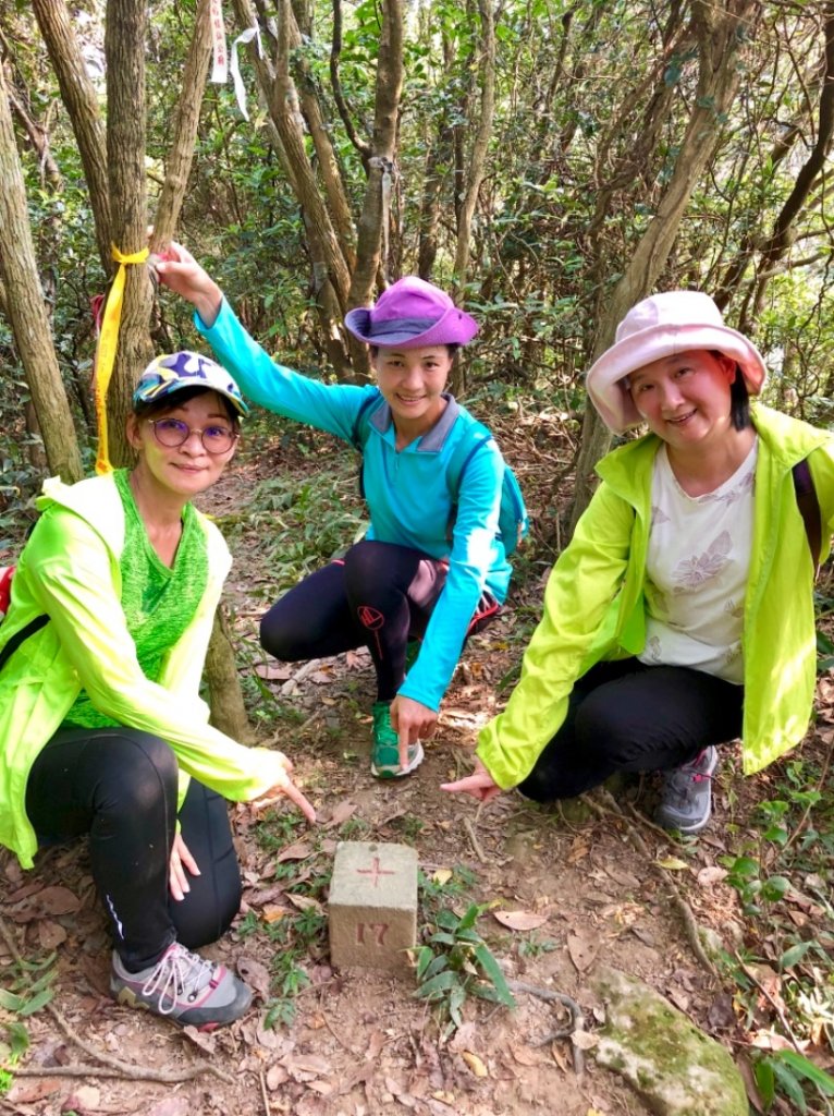 2019-07-28新北萬里駱駝峰稜線_647439