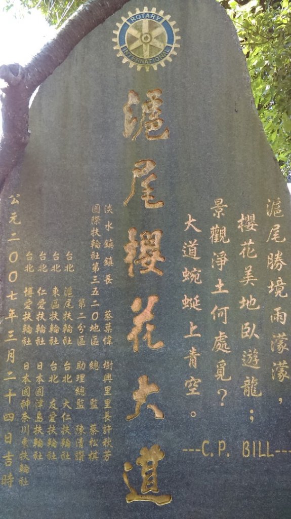 絢麗燦爛的滬尾櫻花大道、景致優美的天元宮_874753