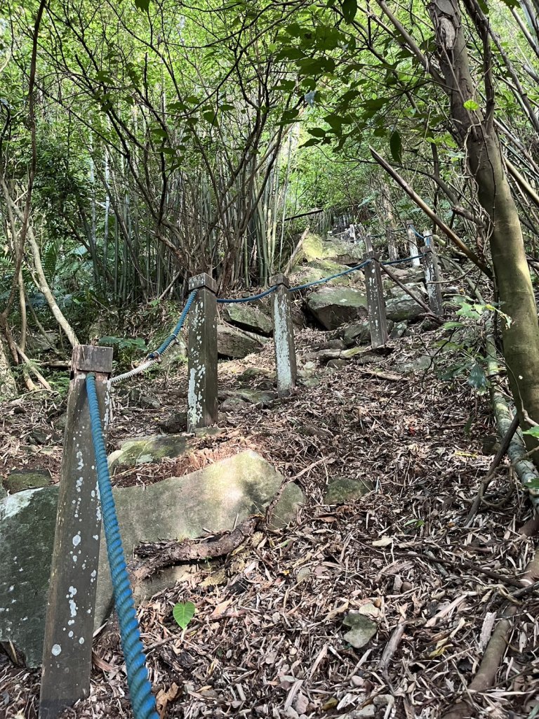 山仔頂步道至向天山、面天山封面圖