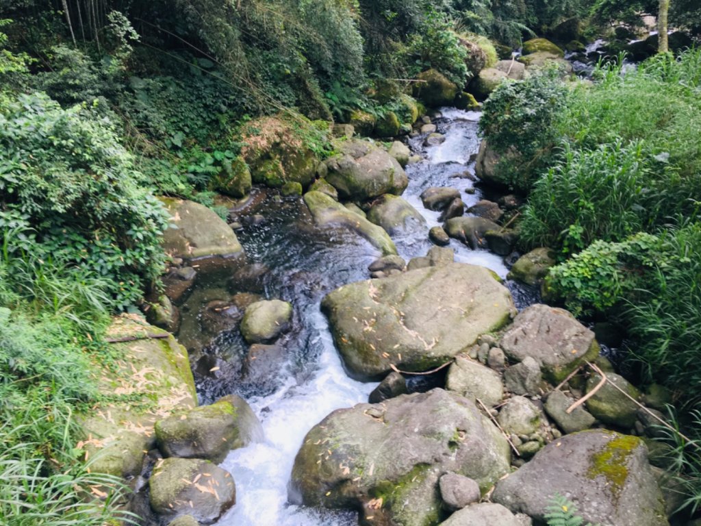 1090806迷糊步道.福山古道_1058570