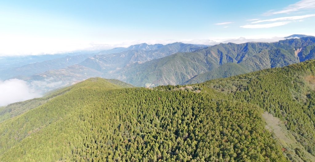 油羅山封面圖