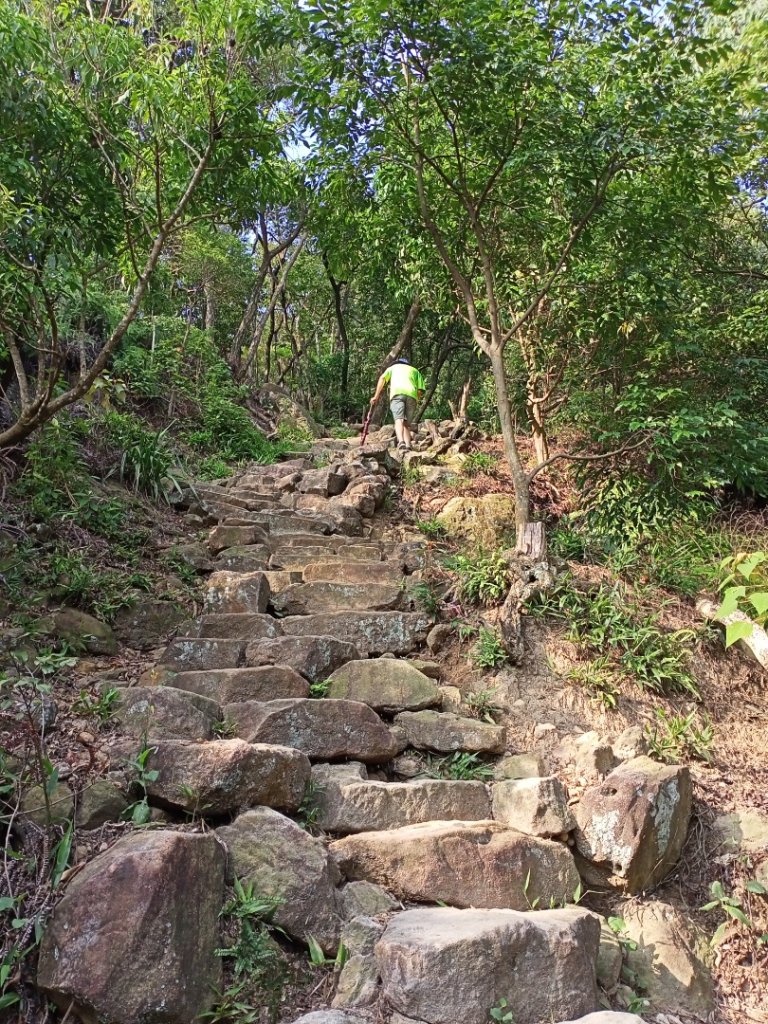 【台北-臺灣百大必訪步道】金面山親山步道_1104286