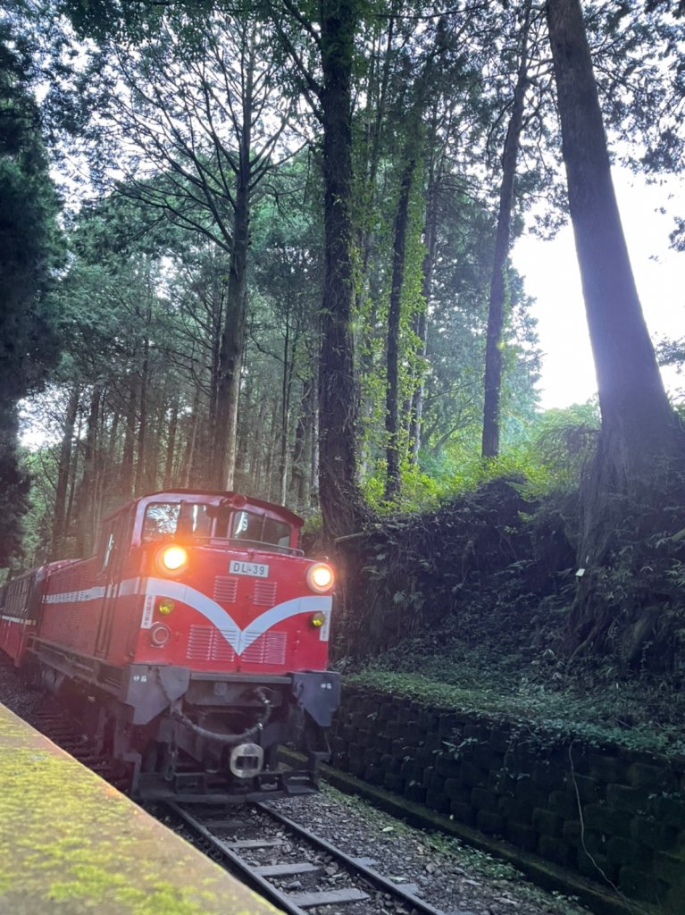 小百岳(59)-大塔山-20220925_1878615