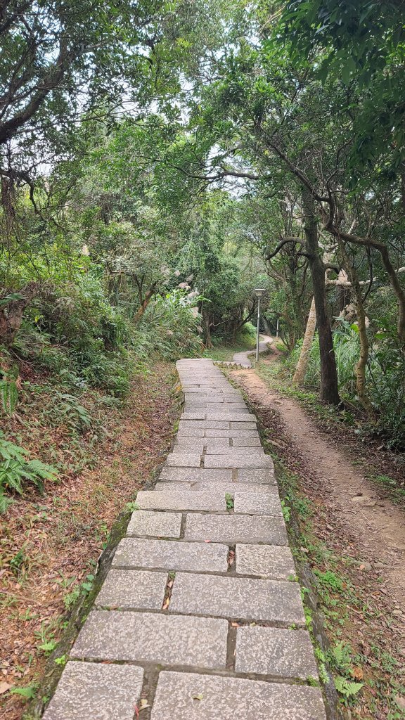 2024-0107台北大縱走第六段_2437666