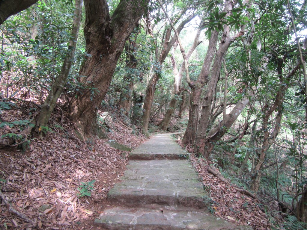 20200228-臺北大縱走1_856589