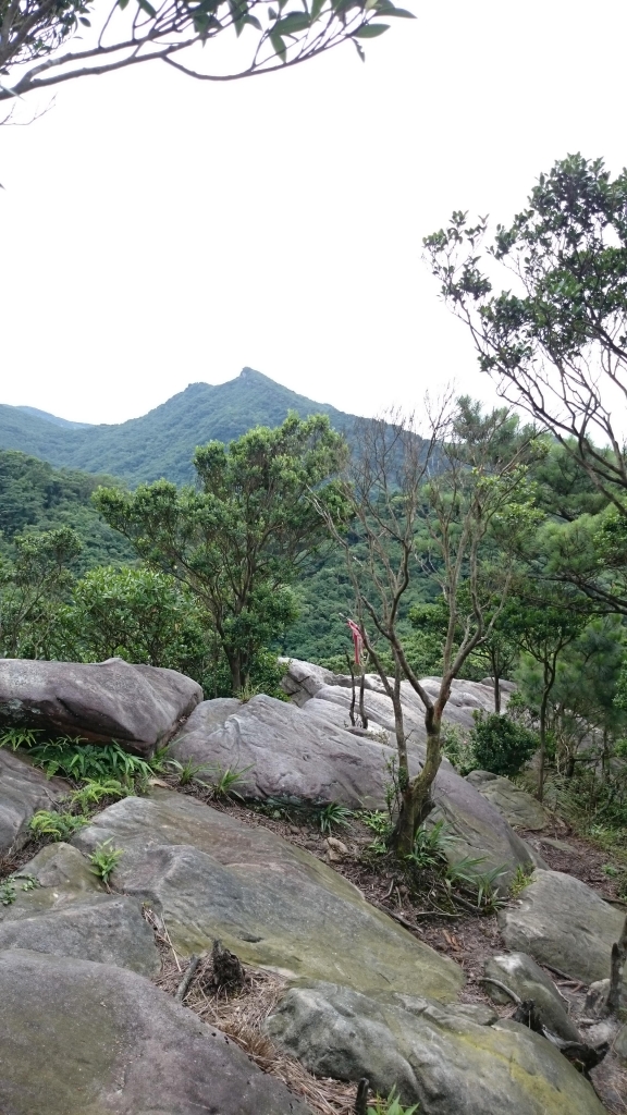 金明山+柯子林山（如意湖）_48781