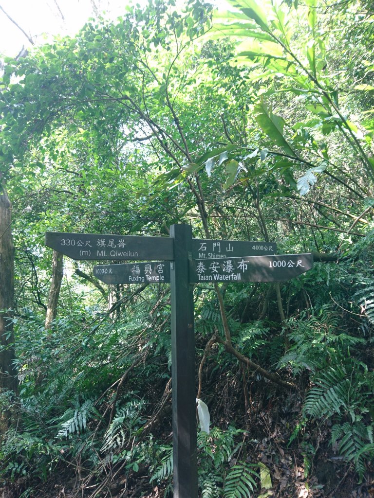 泰安瀑布-姜子寮山步道_821751