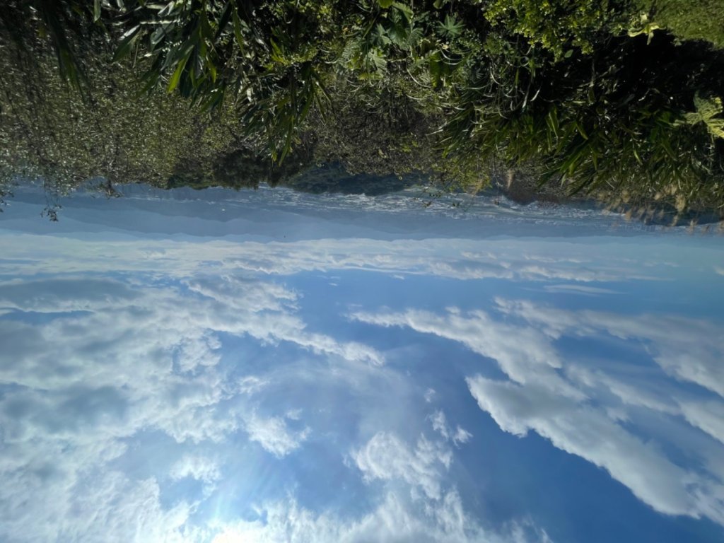 鶯桃縱走_2441622