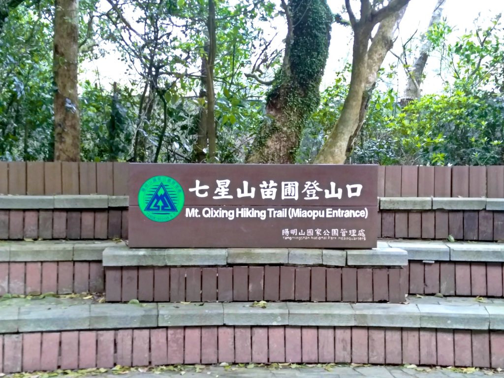 七星山主東峰苗圃線封面圖