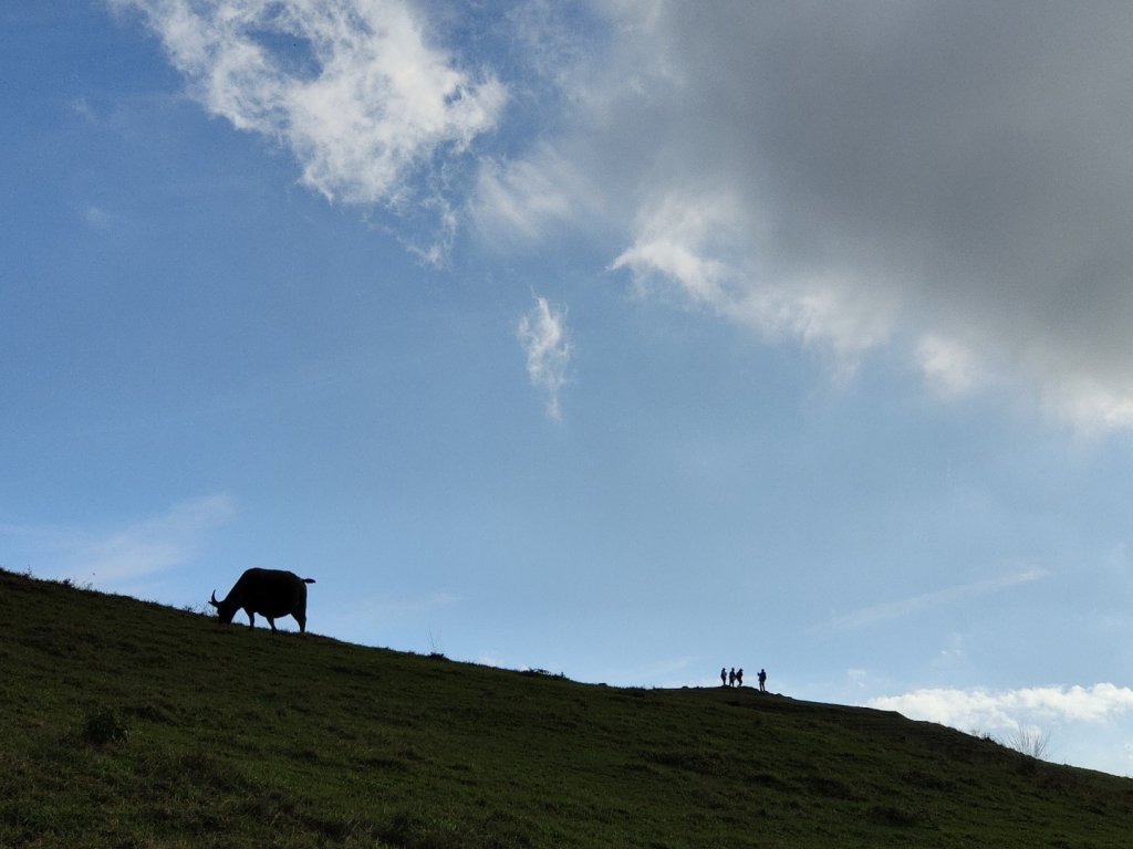 2023.11.23 桃源谷內寮線登灣坑頭山_2503664