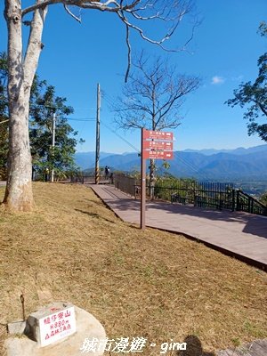 【南投魚池】郊山好視野。 金龍山(槌仔寮山)步道_2976309