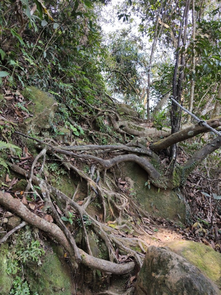2023.04.13 大艽芎古道登溪洲山_2111599