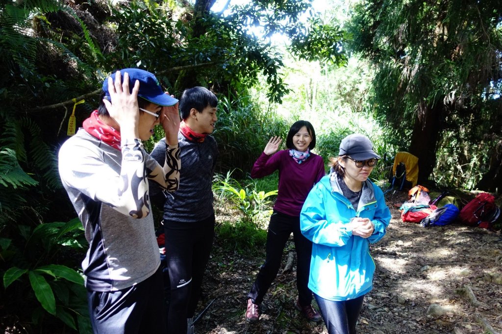 水樣森林 第一次在山裡過夜_659503