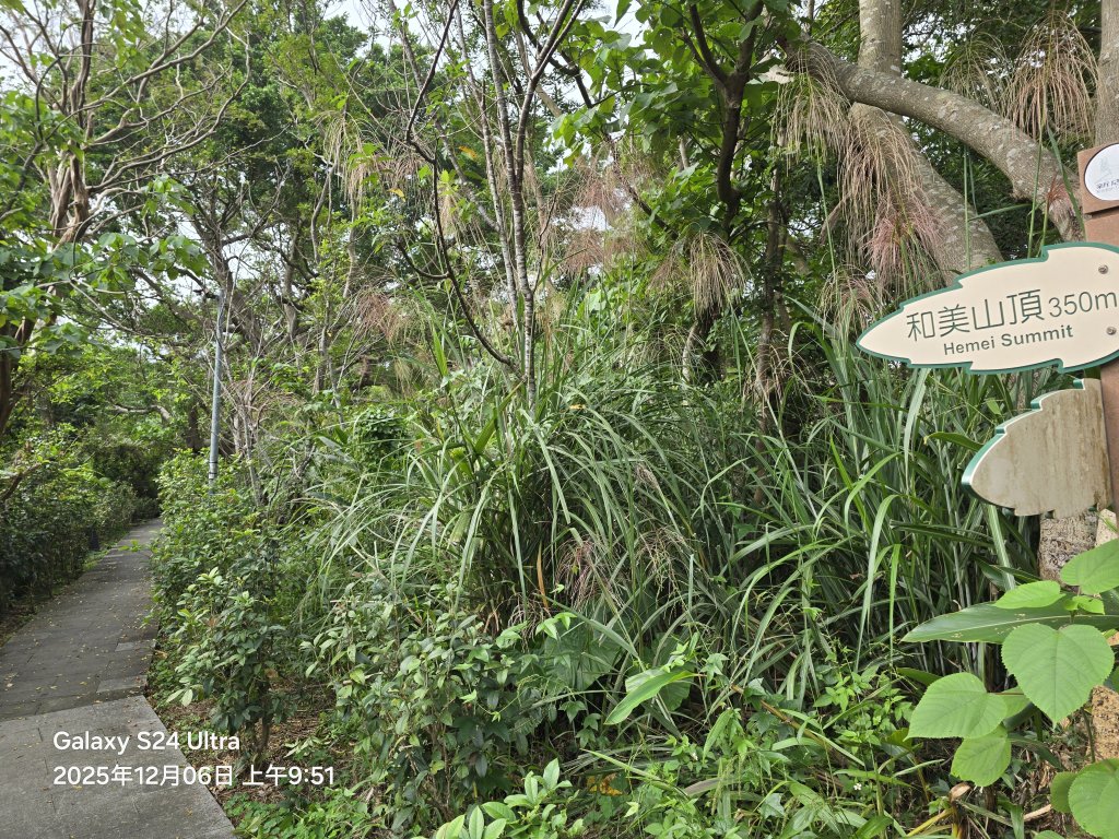 2025-12-06微笑山線：【二格山系】和美山螢火蟲段_2956821