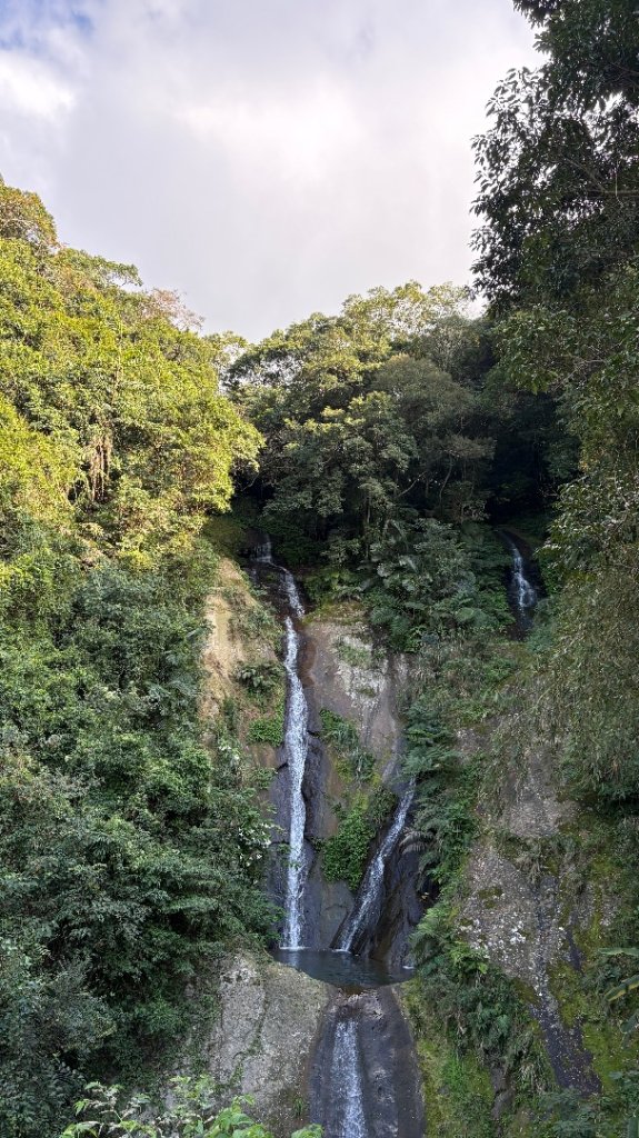 山毛櫸的「最後一舞」_2955412