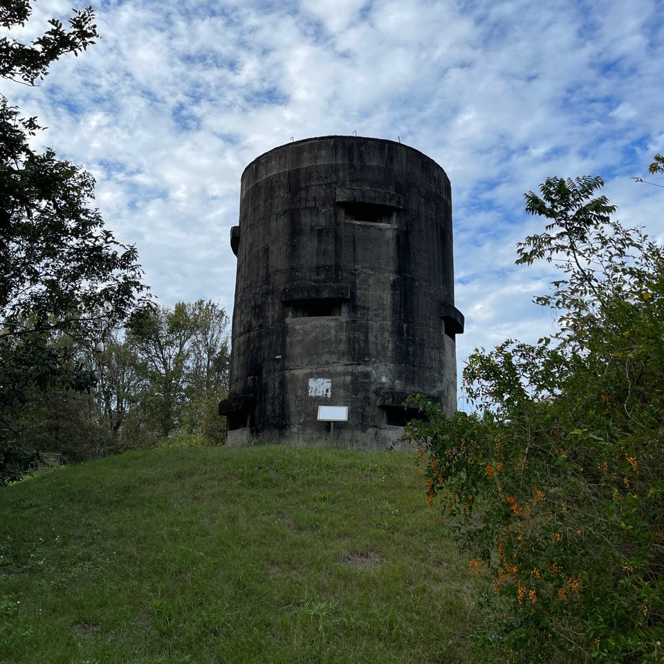 1111126台中都會公園_1928125