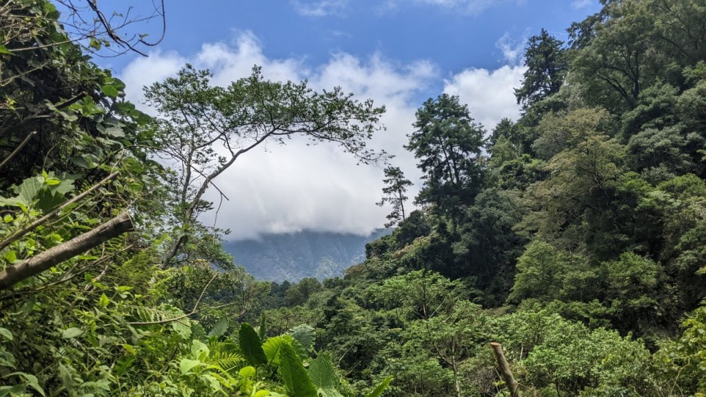 蝴蝶谷瀑布步道｜唐麻丹山登山步道 (松鶴部落上)_1900081
