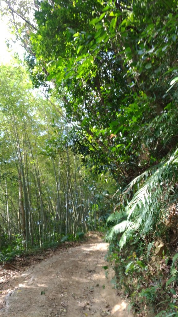 石門山-八寮古道-十寮山_511670