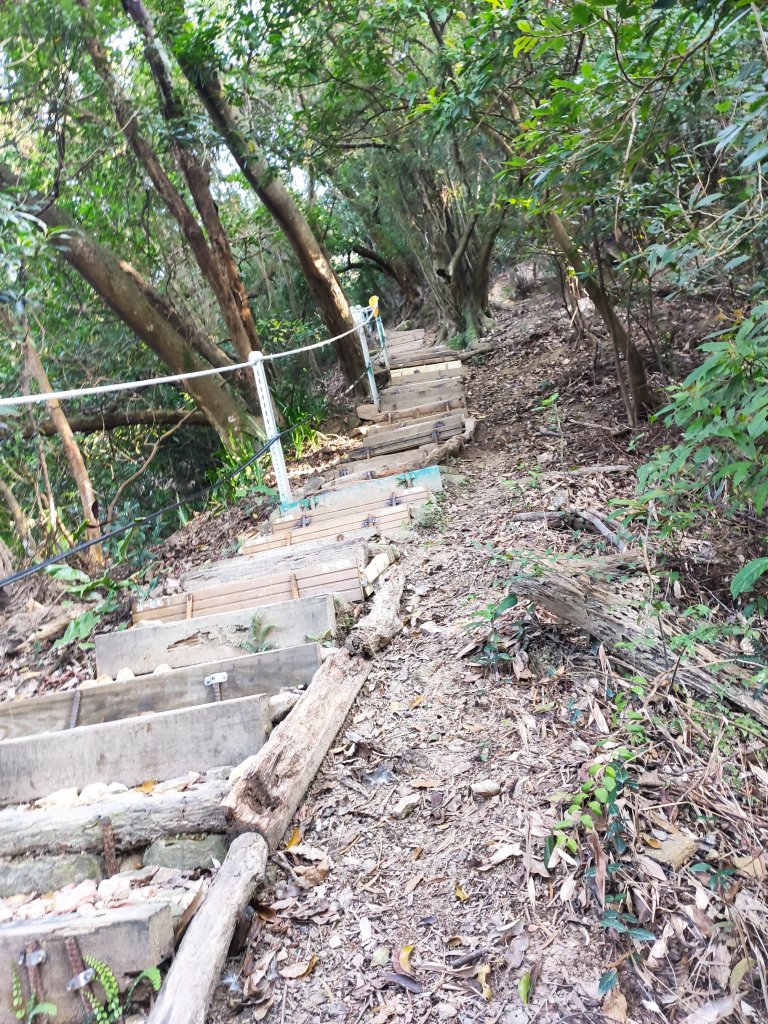 內湖一日雙金_1279467