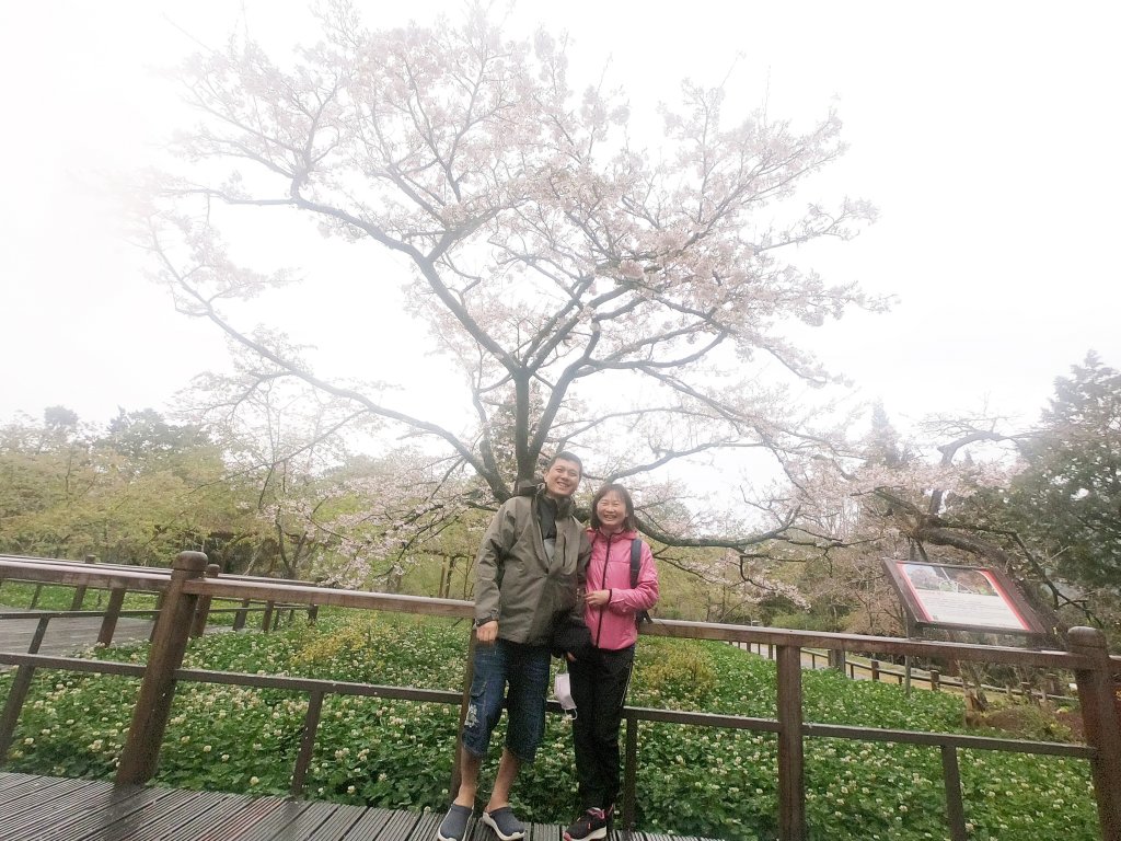 2023尋訪消失的眠月線聚焦失落沉寂的百年鐵道之旅_2109545