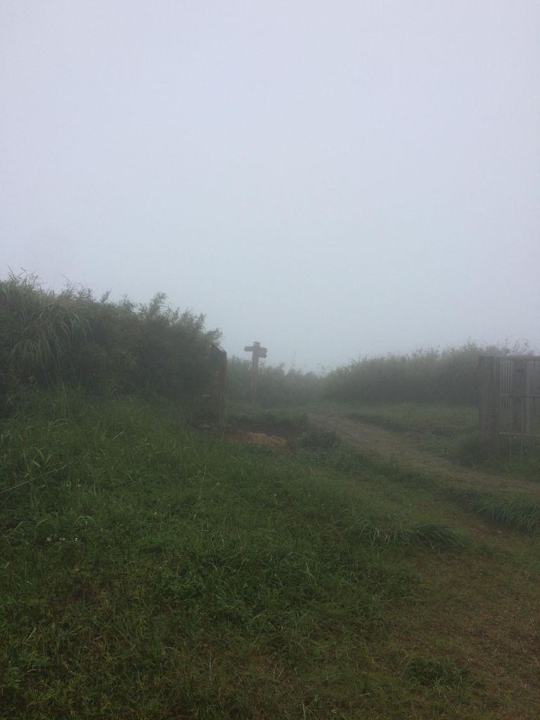 陽明山東西大縱走活動_403260