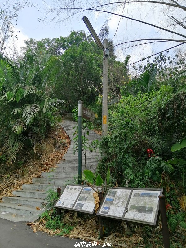 【南投。草屯】蜿蜒步道很親民。 中興新村虎山步道_1383089