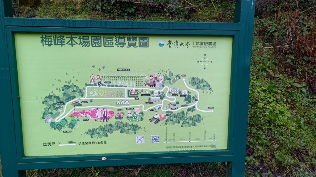 梅峰山地農場立鷹山_2749415