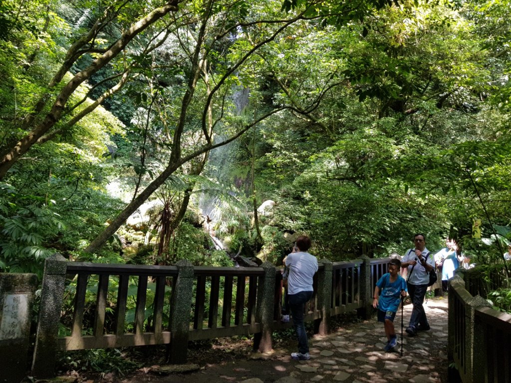 魚路南段(絹絲步道-擎天崗)封面圖