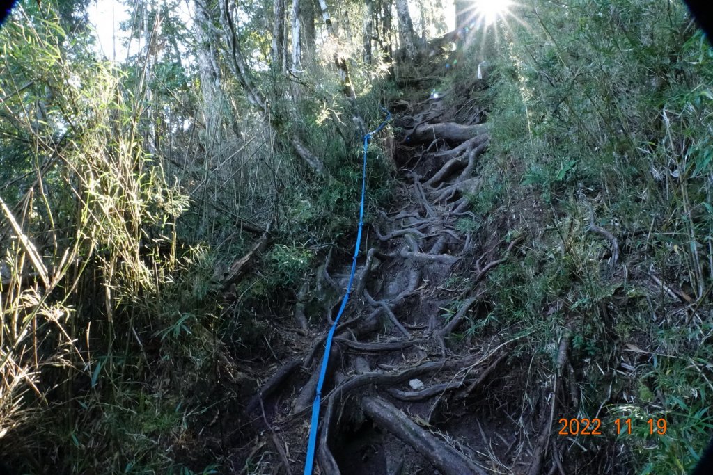 南投 信義 西巒大山_1922324