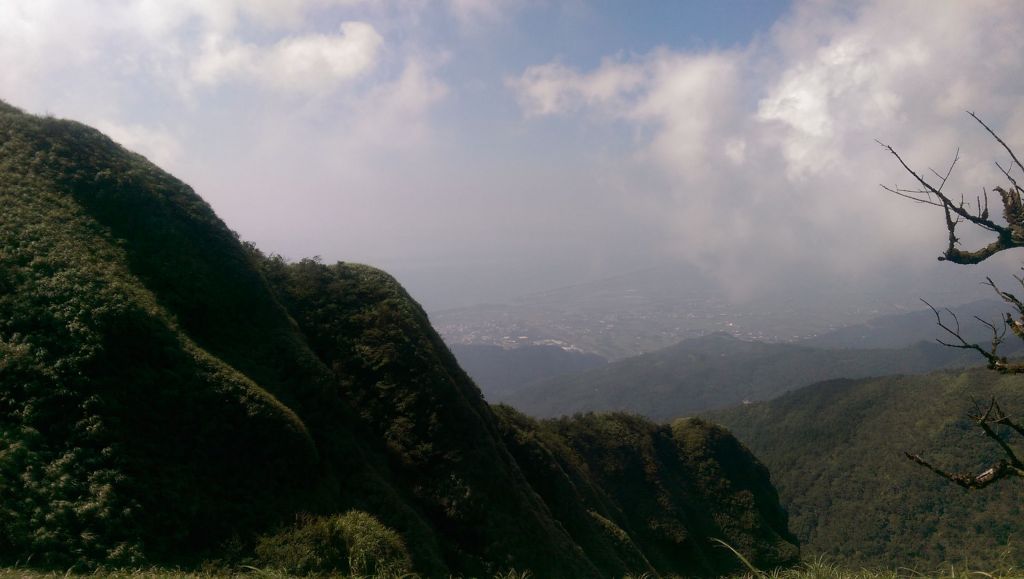 鶯子頂山-鶯子嶺_375522