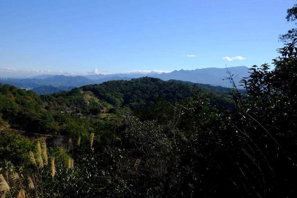 新竹縣 飛沙大縱走(大板根來回)_1224928