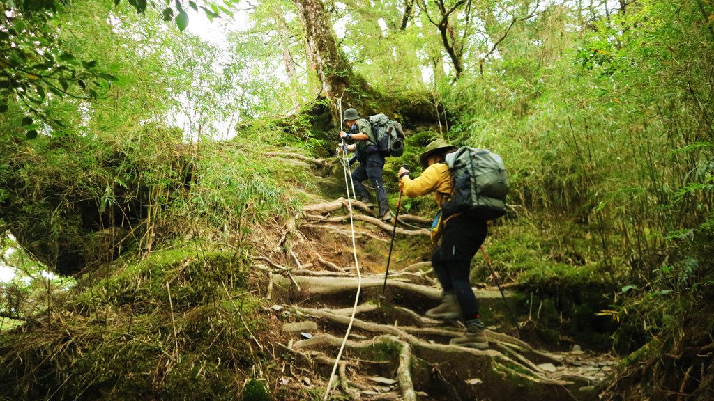 我們與奇萊主山的距離_617927