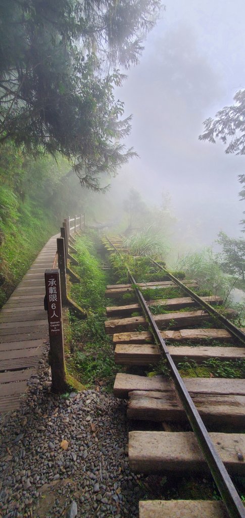 2022-08-13太平山-見晴懷古步道_1804873