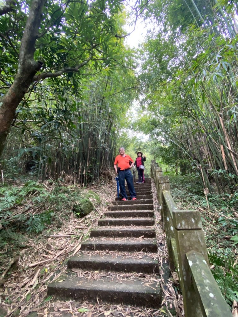 20200301桃源谷步道內寮線_868946