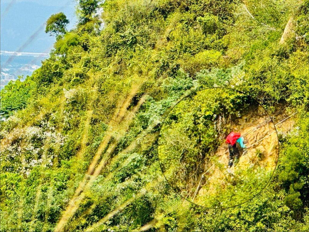 大社觀音山(小百岳#75)_2968364