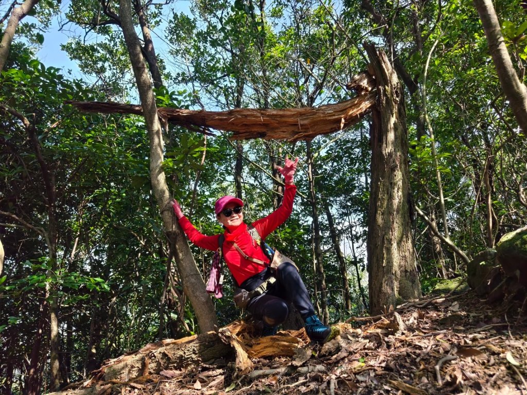 粗坑口尖.碇內尖.龍門山O型_2985776
