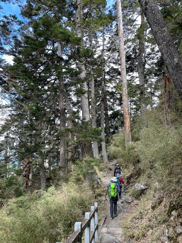 【健人HIKERS】兩天一夜玉山主峰、玉山西峰_2769181