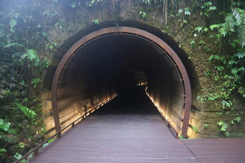 〔雙溪〕三貂嶺生態友善隧道 蝙蝠＆鐘乳石 。尪子崙坑 礦務課NO.278基石_2247666