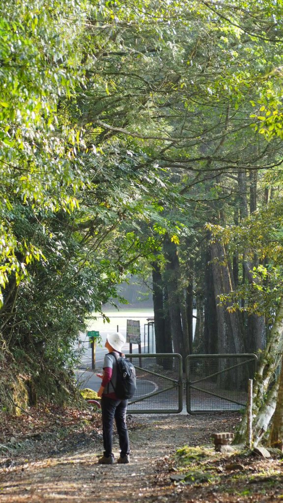 《台中》訪一葉蘭｜大雪山210林道（船型山林道）上烏石坑山20230412_2111517