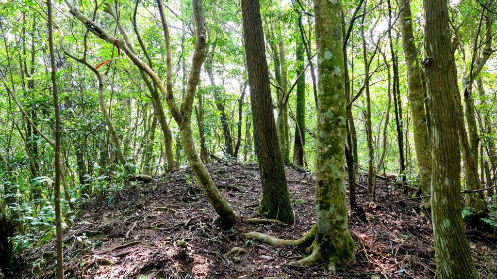石古井,青林山,畝畝山,平溪子山_2854727