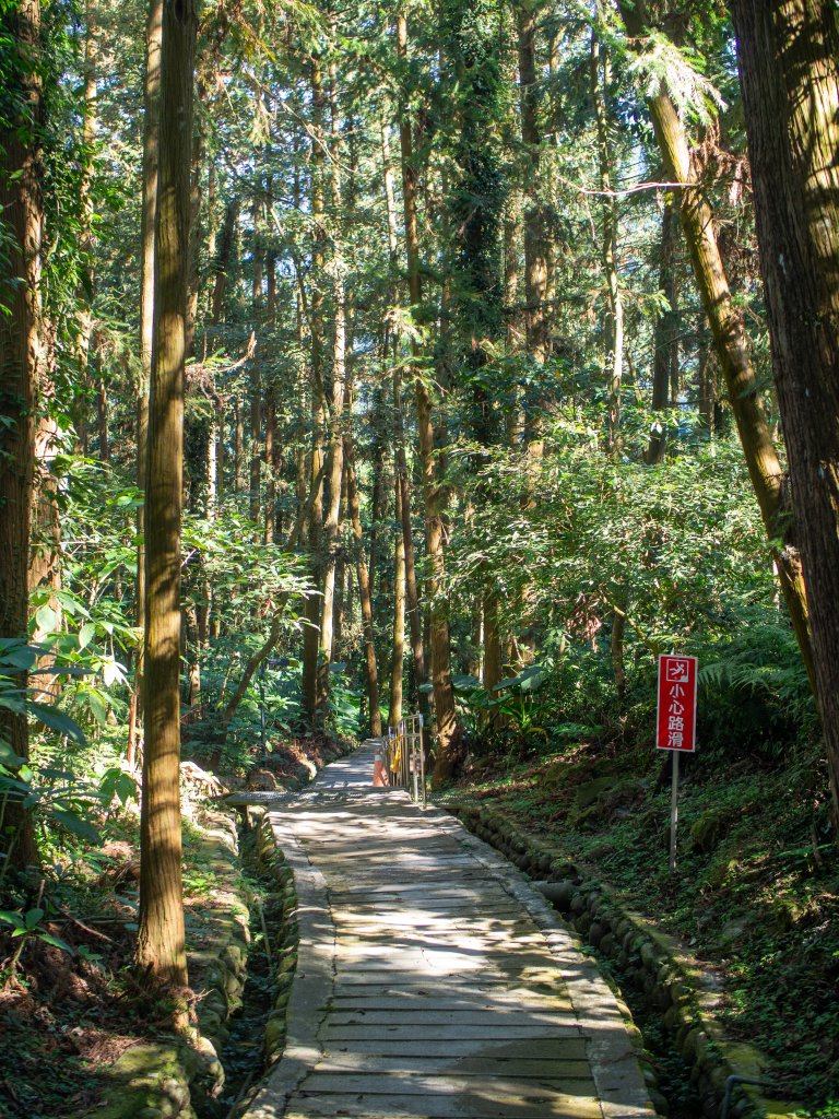 鳳凰谷鳥園_2961133