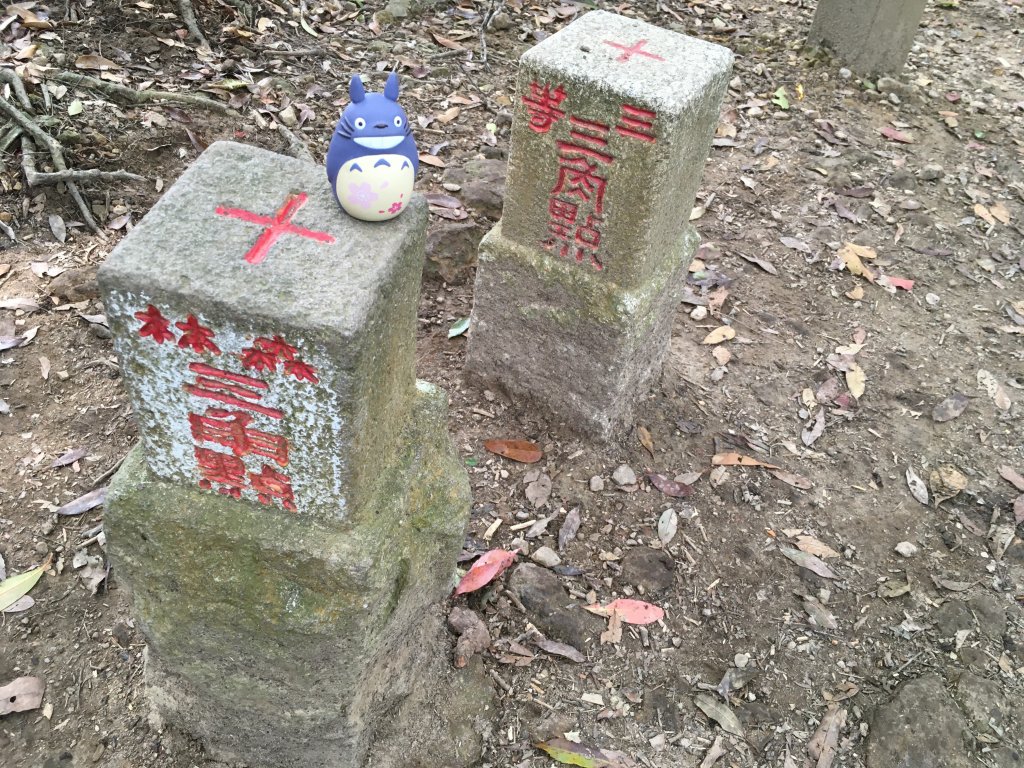 20200321-白毛山封面圖