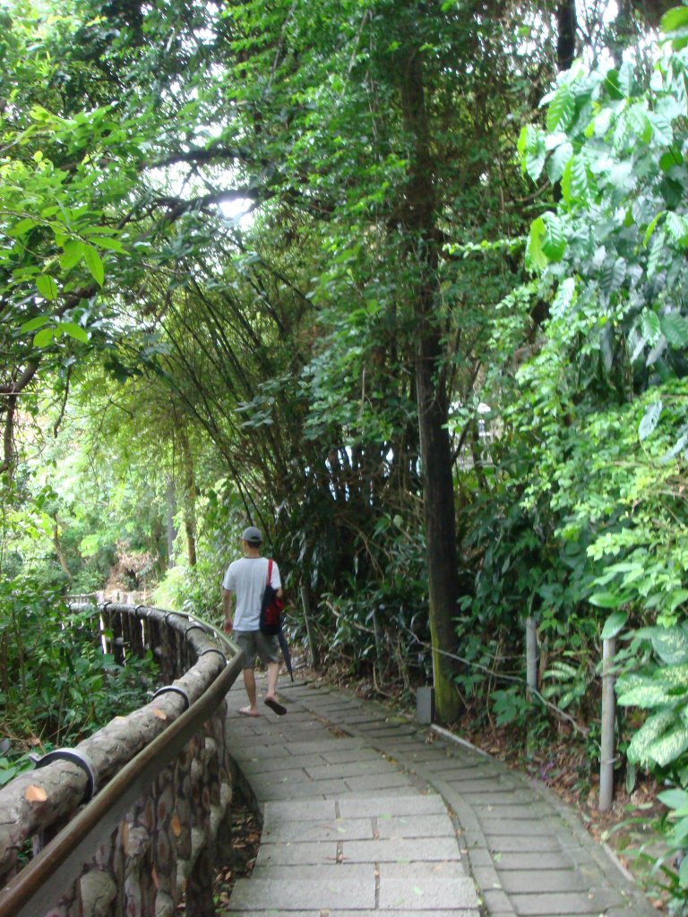 劍潭山親山步道_1792760