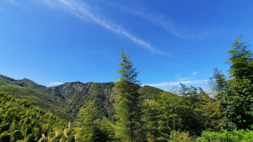 《南投》竹林台灣杉｜溪頭山竹崙山志騰山O繞20230218_2035871