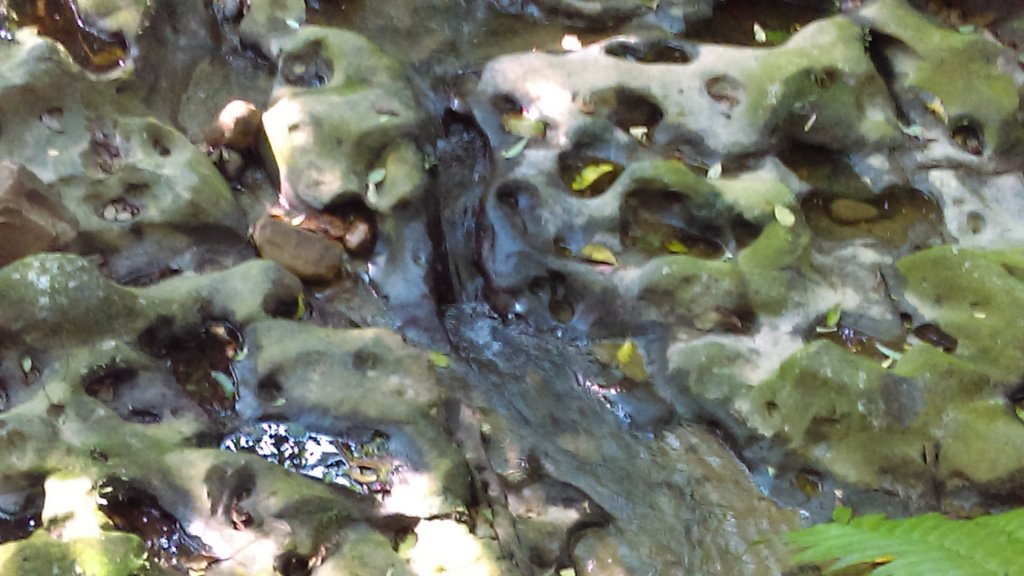 【臺北大縱走7】貓空壺穴、優美的茶香步道封面圖