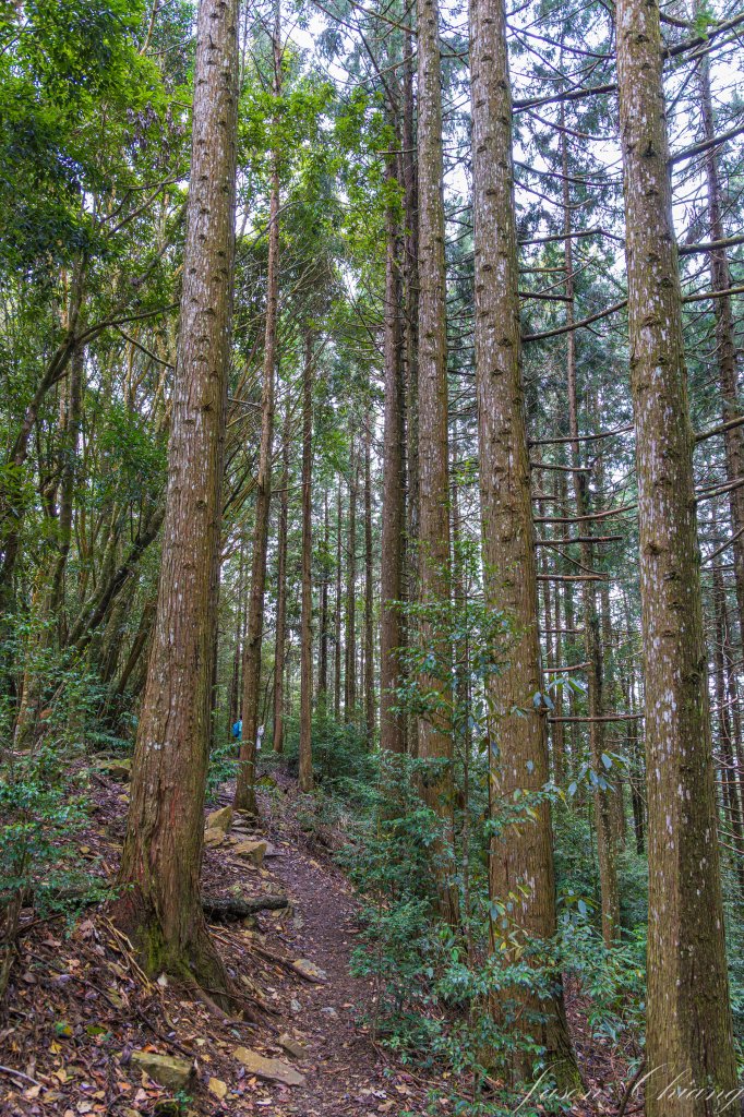 谷關七雄_屋我尾山_2977005