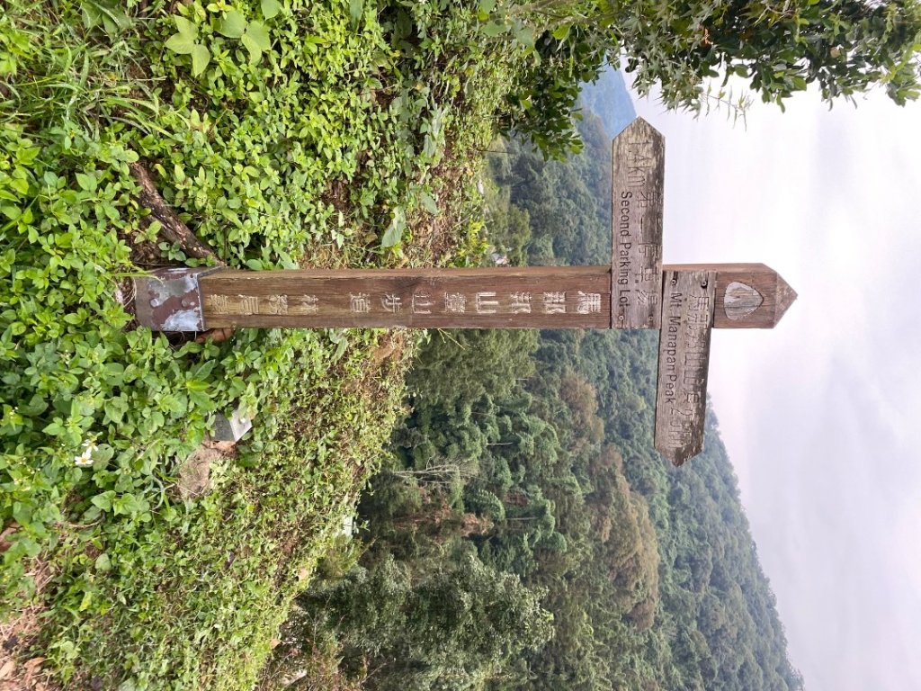 037苗栗泰安-馬那邦山_2604660